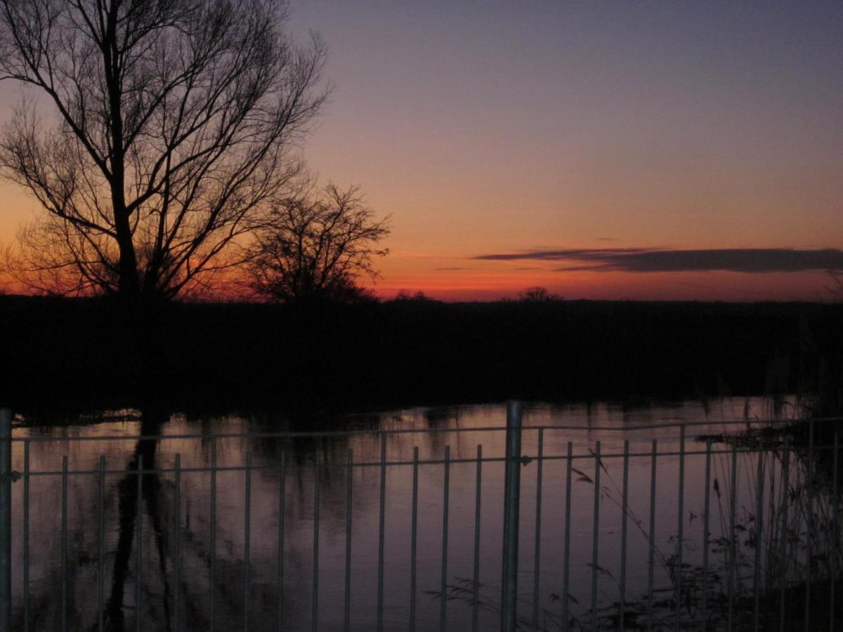 Pension "Zum Schwan" Muhr am See Buitenkant foto